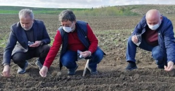 ENDÜSTRİYEL KENEVİR TOHUMLARI TOPRAKLA BULUŞTU